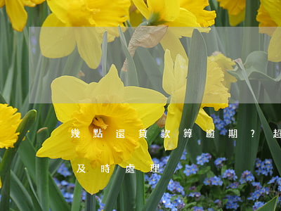 幾點還貸款算逾期？超過還款日即為逾期，應及時處理。